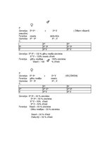 Konspekts 'Ģenētika', 2.