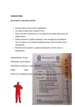 Prakses atskaite 'Prakses atskaite', 38.