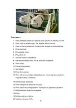 Prakses atskaite 'Prakses atskaite', 43.