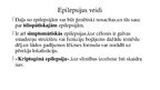 Prezentācija 'Epilepsija', 7.