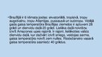 Prezentācija 'Brazīlija', 3.