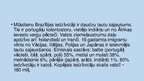 Prezentācija 'Brazīlija', 4.