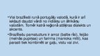 Prezentācija 'Brazīlija', 7.
