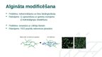 Prezentācija 'Biomateriāls - Algināts', 6.