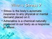 Prezentācija 'Stress Management', 2.