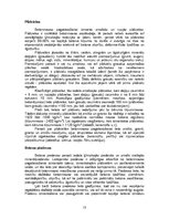 Referāts 'Betons', 13.