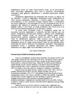 Referāts 'Betons', 17.