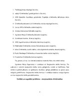 Referāts 'Starptautisko publisko tiesību aktuālās problēmas', 3.