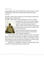 Referāts 'Būvķīmija - sauso maisījumu rūpnīca "Sakret"', 6.