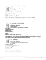 Referāts 'Būvķīmija - sauso maisījumu rūpnīca "Sakret"', 26.