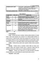 Diplomdarbs 'Vērtīborientēta mācību stunda kā pozitīvās attieksmes veidotāja skolēnos', 29.