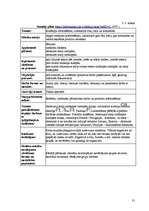 Diplomdarbs 'Vērtīborientēta mācību stunda kā pozitīvās attieksmes veidotāja skolēnos', 31.