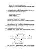 Konspekts 'Risku samazināšanas iespējas', 3.