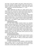 Konspekts 'Risku samazināšanas iespējas', 14.