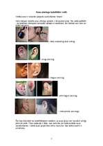 Referāts 'Pīrsings, tetovējumi, permanentais meikaps', 5.