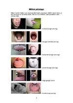 Referāts 'Pīrsings, tetovējumi, permanentais meikaps', 9.