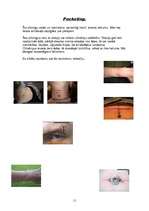 Referāts 'Pīrsings, tetovējumi, permanentais meikaps', 11.