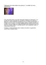 Referāts 'Pīrsings, tetovējumi, permanentais meikaps', 16.