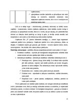 Biznesa plāns 'SIA "X" bioloģisko energoresursu realizēšana tirgū', 23.