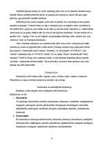 Referāts 'Vizuālās reklāmas elementi', 14.