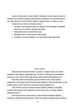 Referāts 'Vizuālās reklāmas elementi', 16.