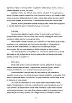 Referāts 'Vizuālās reklāmas elementi', 21.