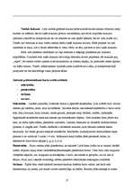 Referāts 'Vizuālās reklāmas elementi', 27.