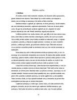 Referāts 'Vizuālās reklāmas elementi', 35.