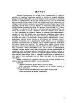 Referāts 'Aizdevuma saņemšanas iespējas uzņēmējiem', 2.