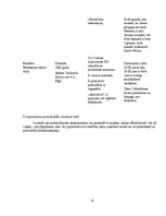 Biznesa plāns 'Privātais Montesori bērnudārzs', 12.