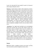 Referāts 'Ķīnas un Japānas tradicionālā kultūra', 6.