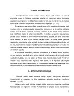 Referāts 'Stresa līmenis sievietēm ar fizisko aktivitāti un bez tās', 26.