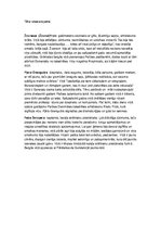 Konspekts 'Viktors Igo "Parīzes Dievmātes katedrāle". Tēlu raksturojums', 1.