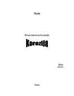 Referāts 'Pētnieciskais darbs ķīmijā - korozija', 1.