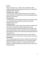 Referāts 'Pētnieciskais darbs ķīmijā - korozija', 3.