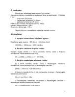 Referāts 'Uzņēmuma plānošana un kontrole', 8.