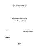 Referāts 'Organizācijas “Sunshine” menedžmenta sistēma', 1.