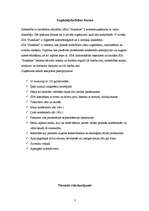 Referāts 'Organizācijas “Sunshine” menedžmenta sistēma', 3.