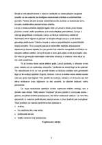 Referāts 'Organizācijas “Sunshine” menedžmenta sistēma', 4.