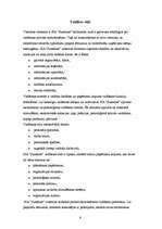 Referāts 'Organizācijas “Sunshine” menedžmenta sistēma', 8.