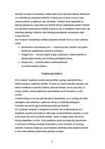 Referāts 'Organizācijas “Sunshine” menedžmenta sistēma', 9.