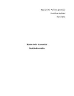 Referāts 'Jauktā ekonomika', 1.