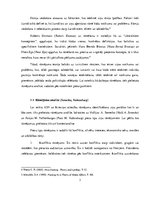 Referāts 'Amerikas Savienoto Valstu un Krievijas attiecību rāmējums ziņu portālu lsm.lv un', 3.