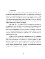 Referāts 'Amerikas Savienoto Valstu un Krievijas attiecību rāmējums ziņu portālu lsm.lv un', 11.