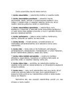 Eseja 'Darba drošība', 3.