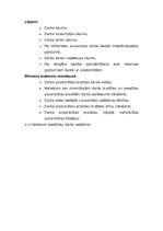 Eseja 'Darba drošība', 4.