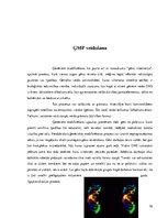 Referāts 'Ģenētiski modificēti produkti', 10.