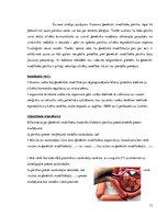 Referāts 'Ģenētiski modificēti produkti', 13.