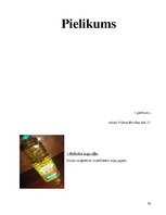 Referāts 'Ģenētiski modificēti produkti', 16.