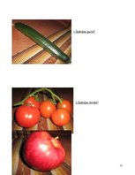 Referāts 'Ģenētiski modificēti produkti', 23.